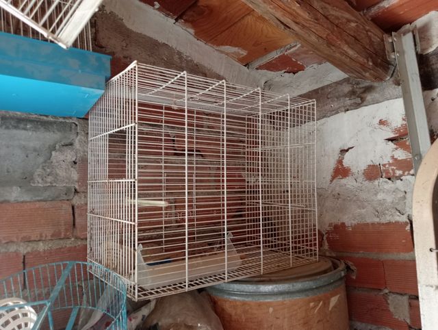 Jaulas cria pájaros.
