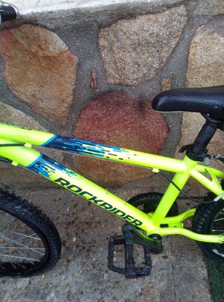 bici rockrider y Monty niño
