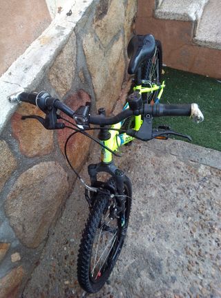 bici rockrider y Monty niño
