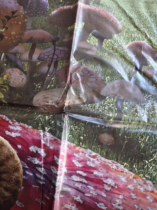 Poster Alicia País Maravillas