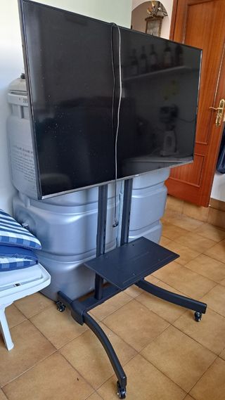 TV 45" c/soporte móvil - 200€
