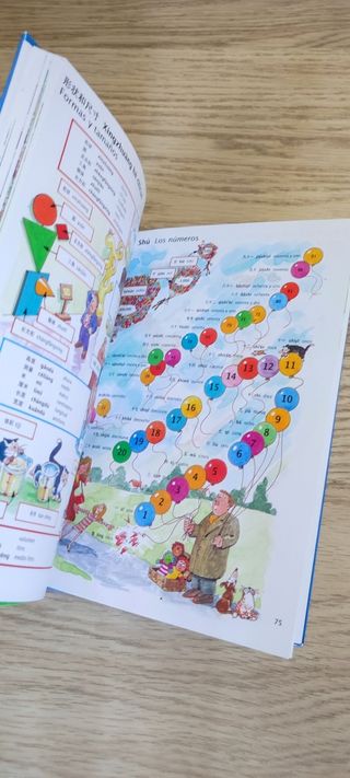 Diccionario de chino para principiantes