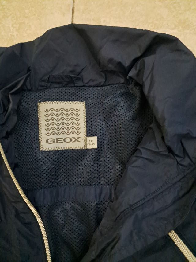 Giubbino Geox blu tg M
