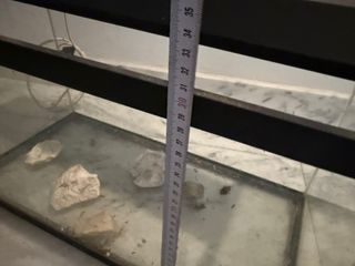 Acuario