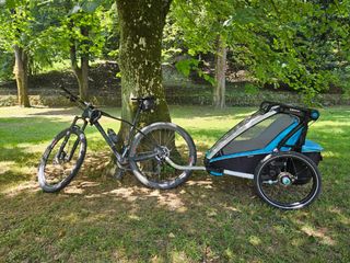 Remolque bici Thule Chariot Sport doble