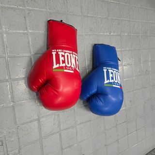 Pack Guantes Gigantes Leone 1947  Decoración Boxeo