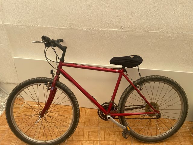 Bicicleta montaña Otero