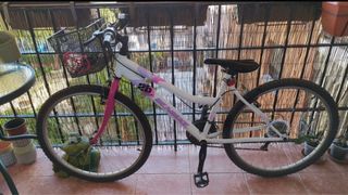 Bicicleta montaña 26" Enike
