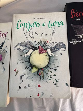 Ladrones de sueños (Spanish Edition)