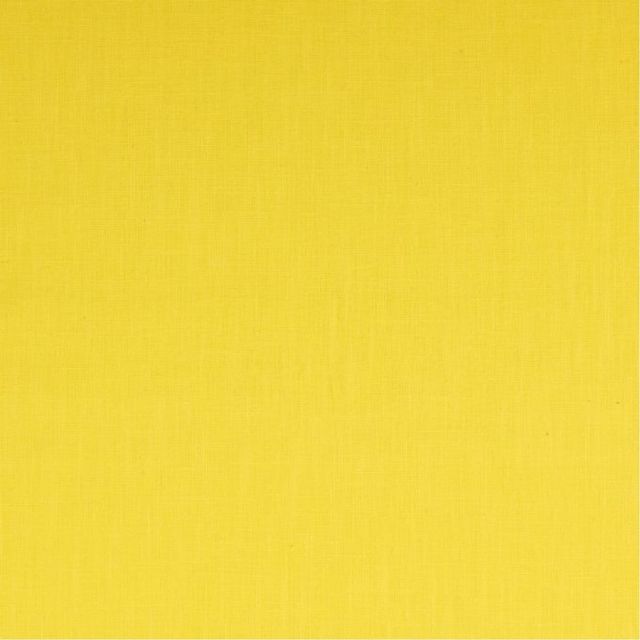 Pintura Amarilla Bruguer