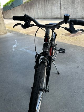 Bicicletta Riverside 20'' Bimbi