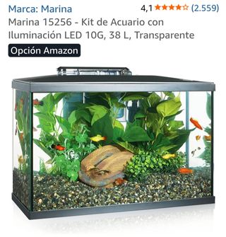 Pecera Marina 38L - Filtro incluido