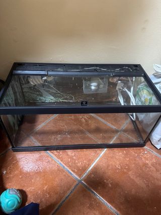 Terrario de cristal o Acuario
