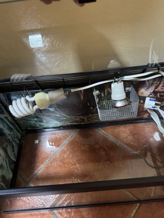 Terrario de cristal o Acuario