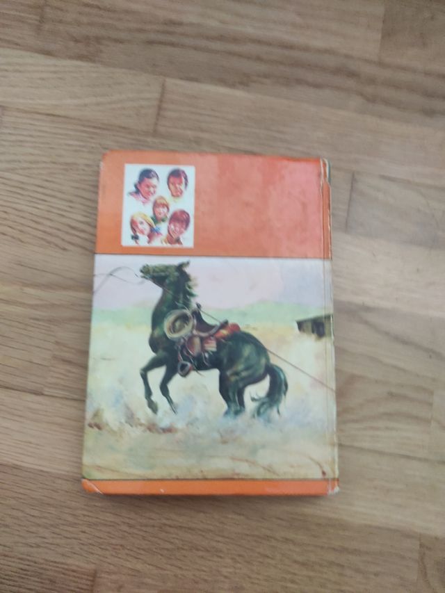 LOS HOLLISTER VAN AL OESTE