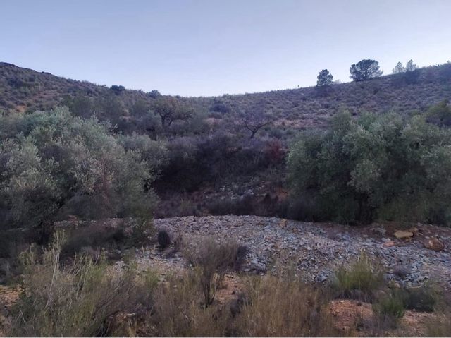terreno en la sierra de Carroscay