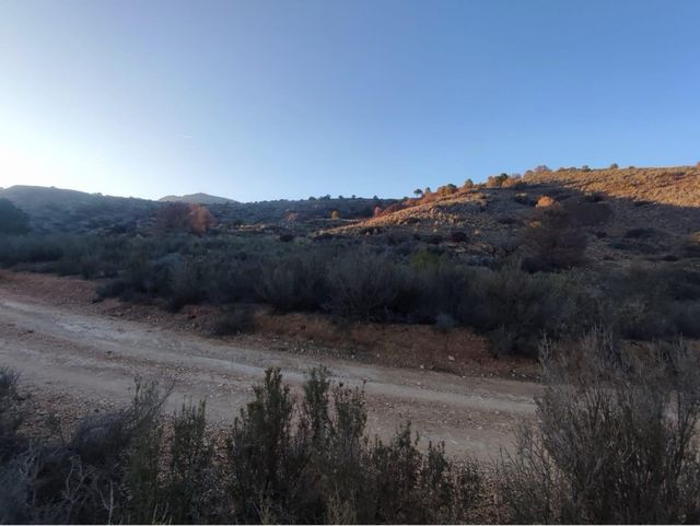 terreno en la sierra de Carroscay