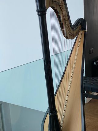 Arpa Camac negra impecable