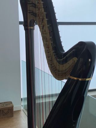 Arpa Camac negra impecable