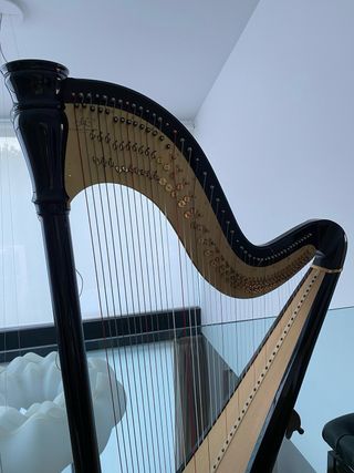 Arpa Camac negra impecable