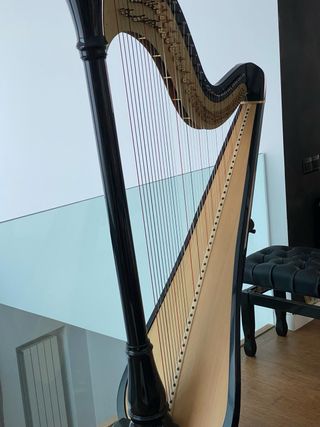 Arpa Camac negra impecable