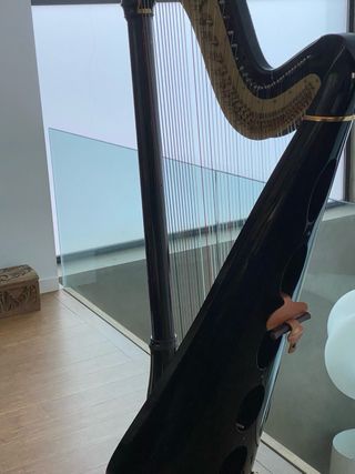 Arpa Camac negra impecable