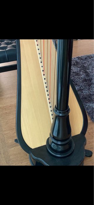 Arpa Camac negra impecable