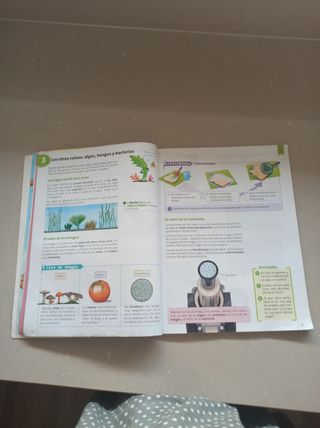 Ciencias de la naturaleza. 4 Primaria. Savia
