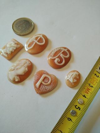 6 Cammei Conchiglia: Incis. Artistica