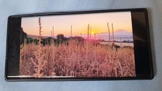 Samsung Galaxy S22 Ultra Negro