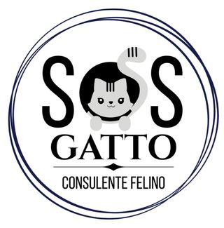 Consulente Felino – Aiuto i gatti e i loro umani!
