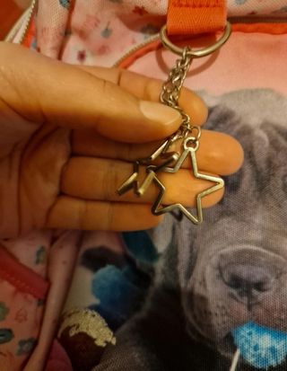 LAST PRICE Zaino scuola cane Rachael Hale