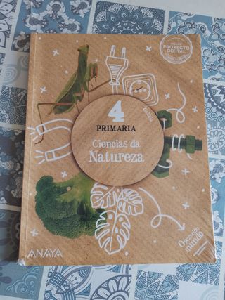 Libros 4 Primaria: Lengua, Mate, Natu e Soci