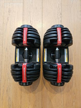 Mancuernas Bowflex 552i (2-24kg)