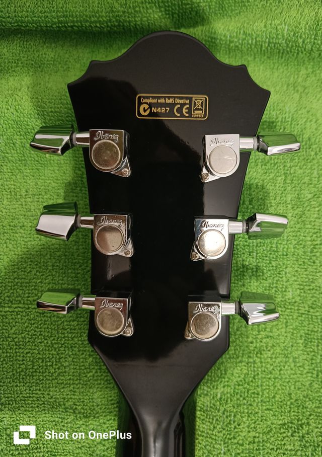 Guitarra electroacústica Ibanez AEL10E-BK