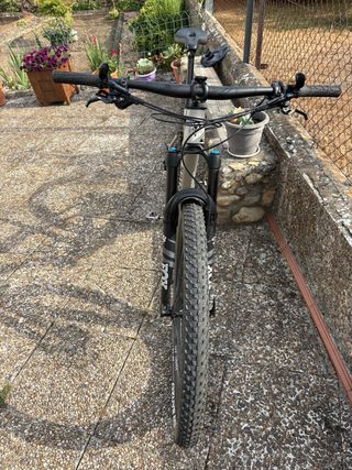 Canyon Lux Trail CF 2023 Talla S