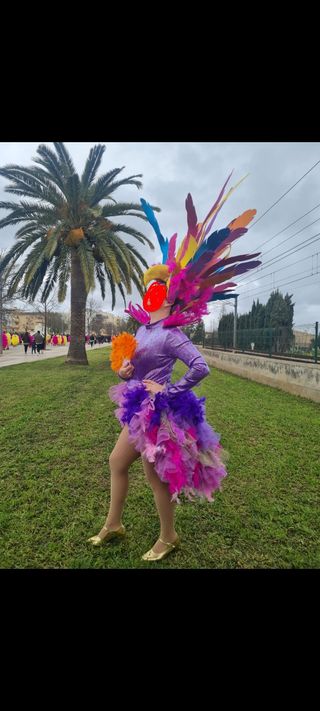 Disfraz Carnaval Pluma