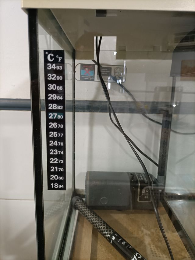 Acuario Peces 30L Beige/Blanco