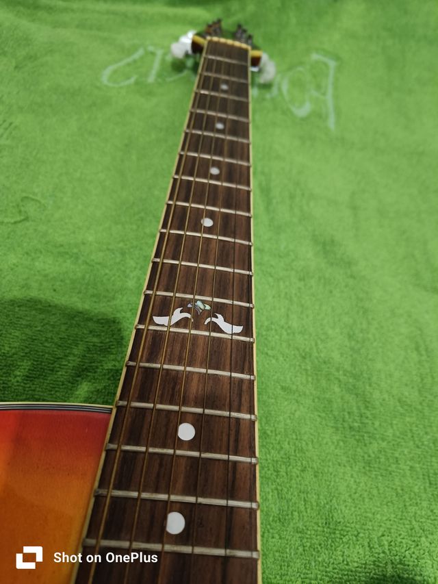 Guitarra electroacústica Silverian Factory