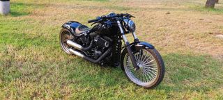 Harley Davidson Softail