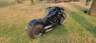Harley Davidson Softail