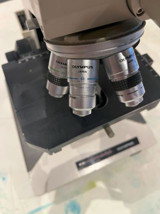 Microscopio Olympus BH-2 BHS 100W, Trinocular