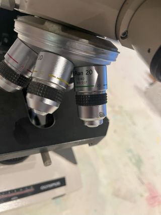 Microscopio Olympus BH-2 BHS 100W, Trinocular