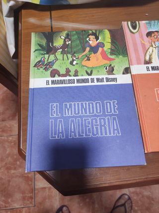El mundo de la ilusión,el mundo de la alegría,