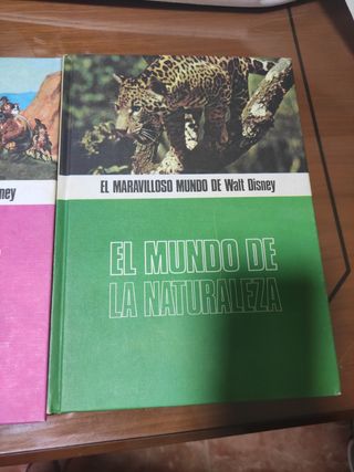 El mundo de la ilusión,el mundo de la alegría,