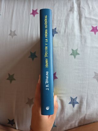 Harry Potter Y La Piedra Filosofal