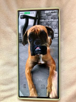 Samsung Galaxy S22 Ultra 
