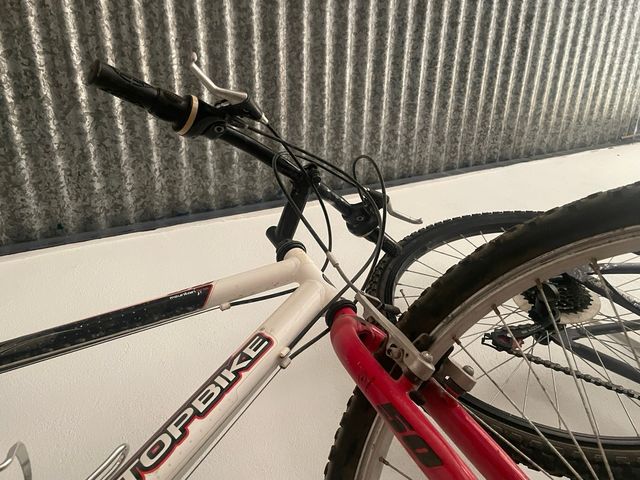 Bicicleta Topbike Montaña