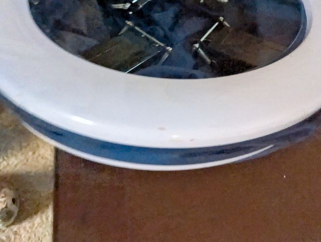 Se vende baño portátil camper