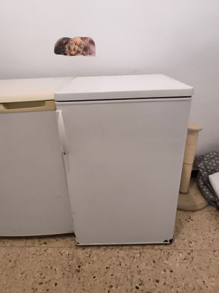 Mini nevera blanca
